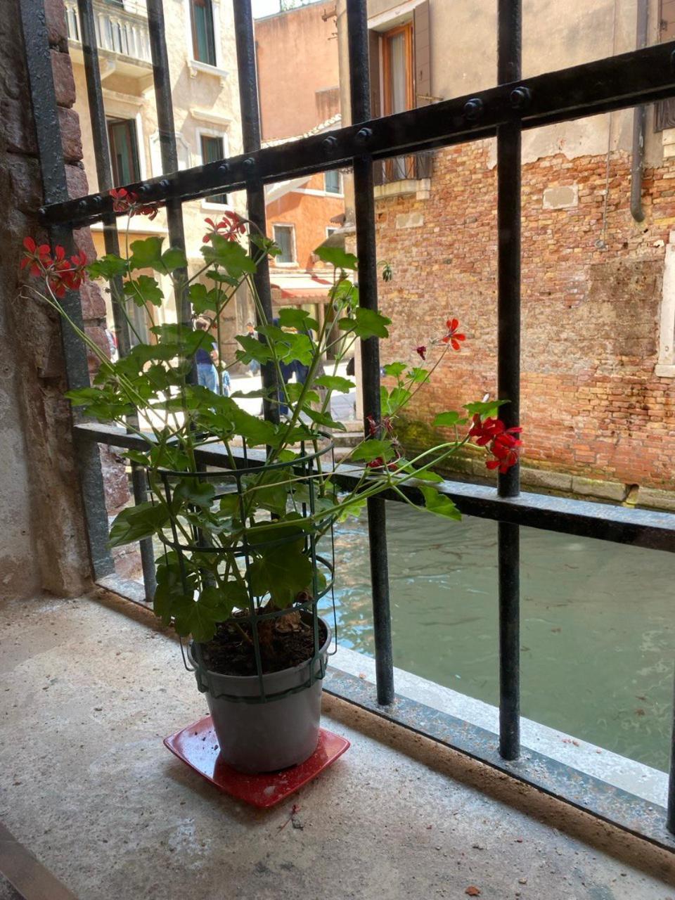 Canal View Venise Extérieur photo